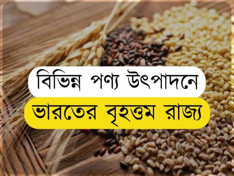 বিভিন্ন পণ্য উৎপাদনে ভারতের বৃহত্তম রাজ্য || Largest Producing States In India