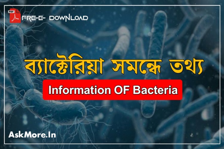 ব্যাক্টেরিয়া সমন্ধে তথ্য | Bacteria Information Free PDF
